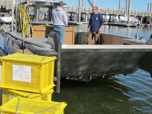 Ocean Wine Aging