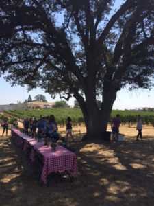 Bokisch picnic